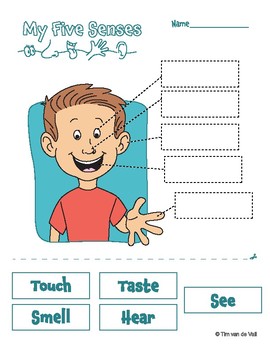 five senses worksheets by tim s printables teachers pay teachers