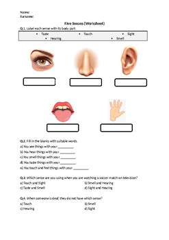 Preview of Five Senses - Worksheet | Printable and Distance Learning