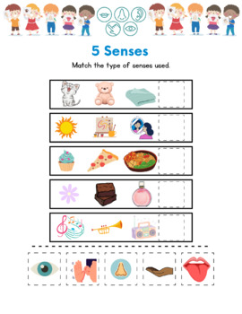 Preview of Five Senses Worksheet