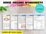 Five Senses Worksheets and Outlines, Human Senses for High
