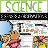 Five Senses Activities | Science Observations | 5 Senses A