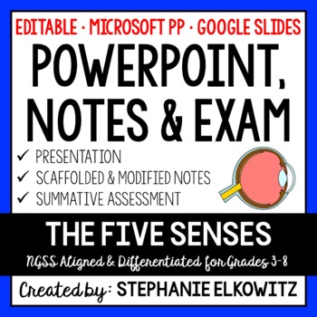 Preview of Five Senses and Sensory Processing PowerPoint, Notes & Exam - Google Slides