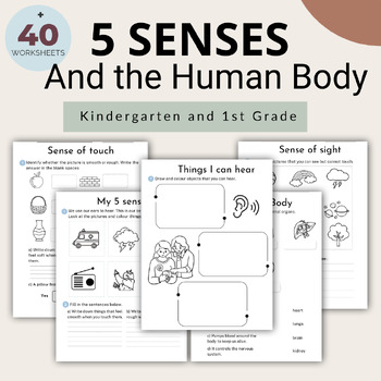 Preview of Five Senses and The Human Body Anatomy| Kindergarten and First Grade Science