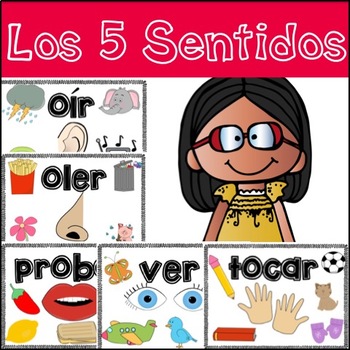 Preview of Five Senses in Spanish (Los cinco sentidos)