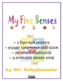 Five Senses pair talk poster, mini-book, flashcards and so