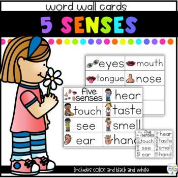 Preview of Five Senses | word wall cards