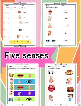 Preview of Five senses