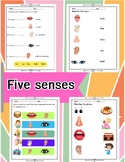 Five senses