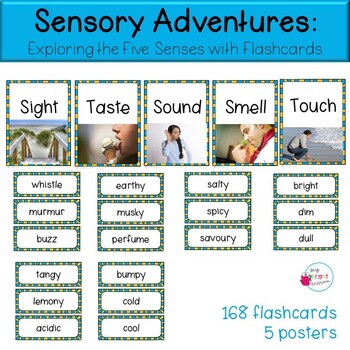 Preview of Five senses Vocab Sort