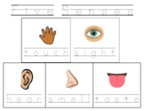 Five senses tracing words worksheet for dysgraphia learner