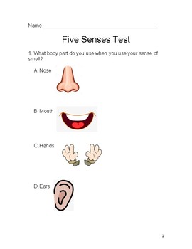 Preview of Fives Senses Test