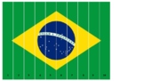 Flag of Brazil puzzle 1-10