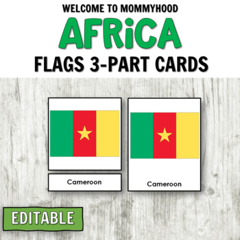 Preview of Montessori Flags of Africa 3 Part Cards for Geography Activities