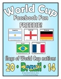 Flags of the World Soccer Cup Nations Brazil 2014