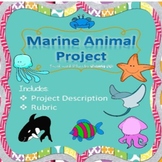 FlairSquare Marine Animal Project plus Rubric!