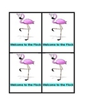 Flamingo Classroom Theme Bundle