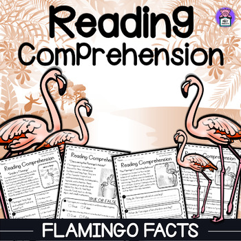 Preview of Flamingo Facts Reading Comprehension Passages and Questions - Science Unit