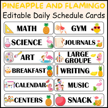 Flamingo & Pineapple EDITABLE Visual Schedule Daily Cards - Classroom Decor