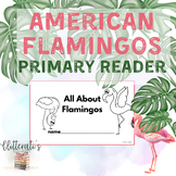 Flamingo Printable Mini Science Reader Summer Coloring Animals