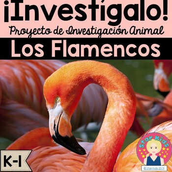 Preview of Flamingo Research Project and Activities IN SPANISH for K-1