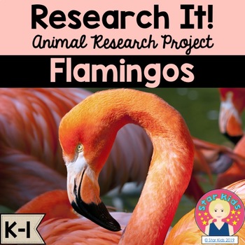 Preview of Flamingo