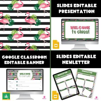 Preview of Flamingo Slides Templates | Flamingo Newsletter | Flamingo Headers 3 in 1