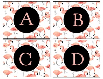 Preview of Flamingo Classroom Decor Word Wall / Leveled Library Labels A to Z