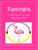 Flamingos Full Day Lesson Plans Grades 1 & 2
