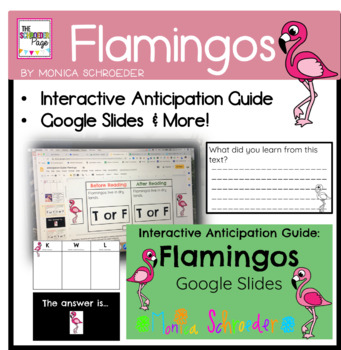 Preview of Flamingo Reading Comprehension: Google Slides