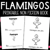 Flamingos | Level D Printable Book | Guided Reading | Non 