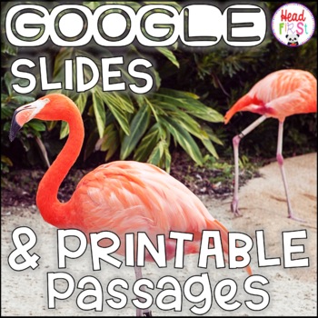 Preview of Flamingos NONFICTION GOOGLE SLIDES and PRINTABLE Passages and Activities