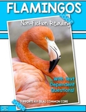 Informational Text {Flamingos} Close Reading & Text Depend