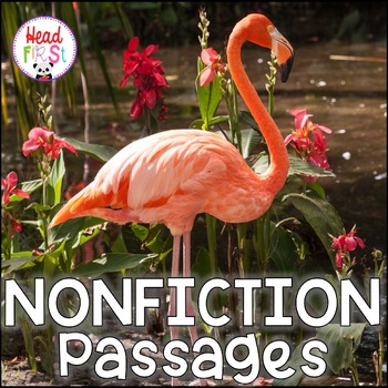 Preview of Flamingos Passages for Close Reading with Comprehension Questions and Writing