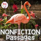 Flamingos Passages for Close Reading with Comprehension Qu