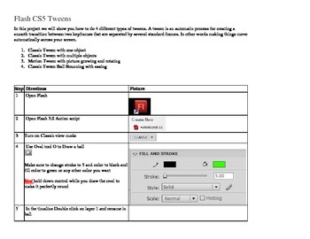 Adobe Flash Teaching Resources | TPT