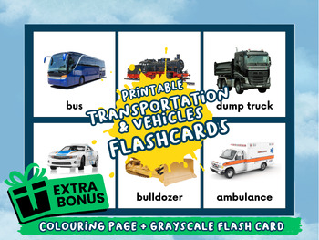 Preview of Flash Cards Bundle (Animal, Part of Human Body, Tools, Transportation)