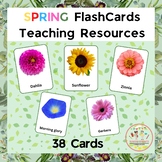 Flash Cards Flowers - Spring Flowers Cards  - Flash Cards 