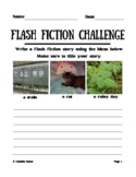 Flash Fiction Challenge with Visual Prompts #1