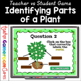 Parts of a Plant Powerpoint Review Game