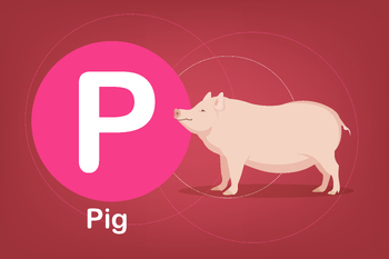 Preview of Flash card: card P-Pig animal with short legs and a curved tail