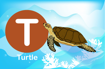 Preview of Flash card: card T-Turtle, a reptile that lives in the sea and has a thick shell