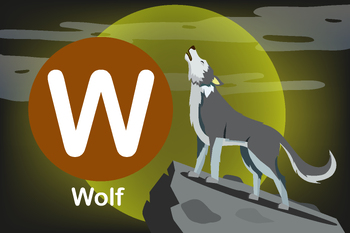 Preview of Flash card: card W-Wolf, a wild carnivorous mammal of the dog family