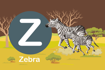 Preview of Flash card:  card Z-Zebra, an African wild horse with black-and-white stripes