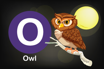 Preview of Flash card: the education tools - Alphabet A-Z card O-Owl