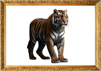 Preview of Flashcard-TIGER