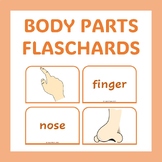 Flashcards Body Parts - 2 per page