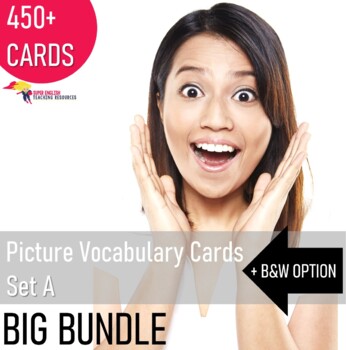 Preview of Vocabulary Picture Flashcards for ESL Newcomers - Bundle 1