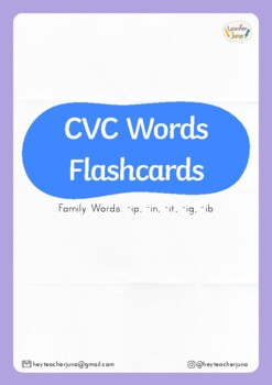 Preview of Flashcards: CVC (Family Words: -ip, -in, -it, -ig, -ib)
