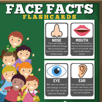 Preview of Flashcards Facts About Face Parts
