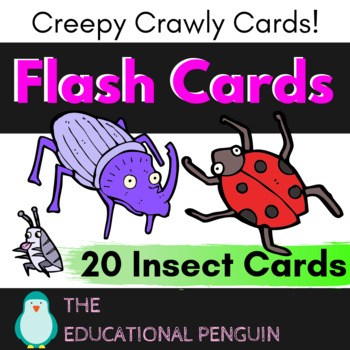 Preview of Insects Flash Cards